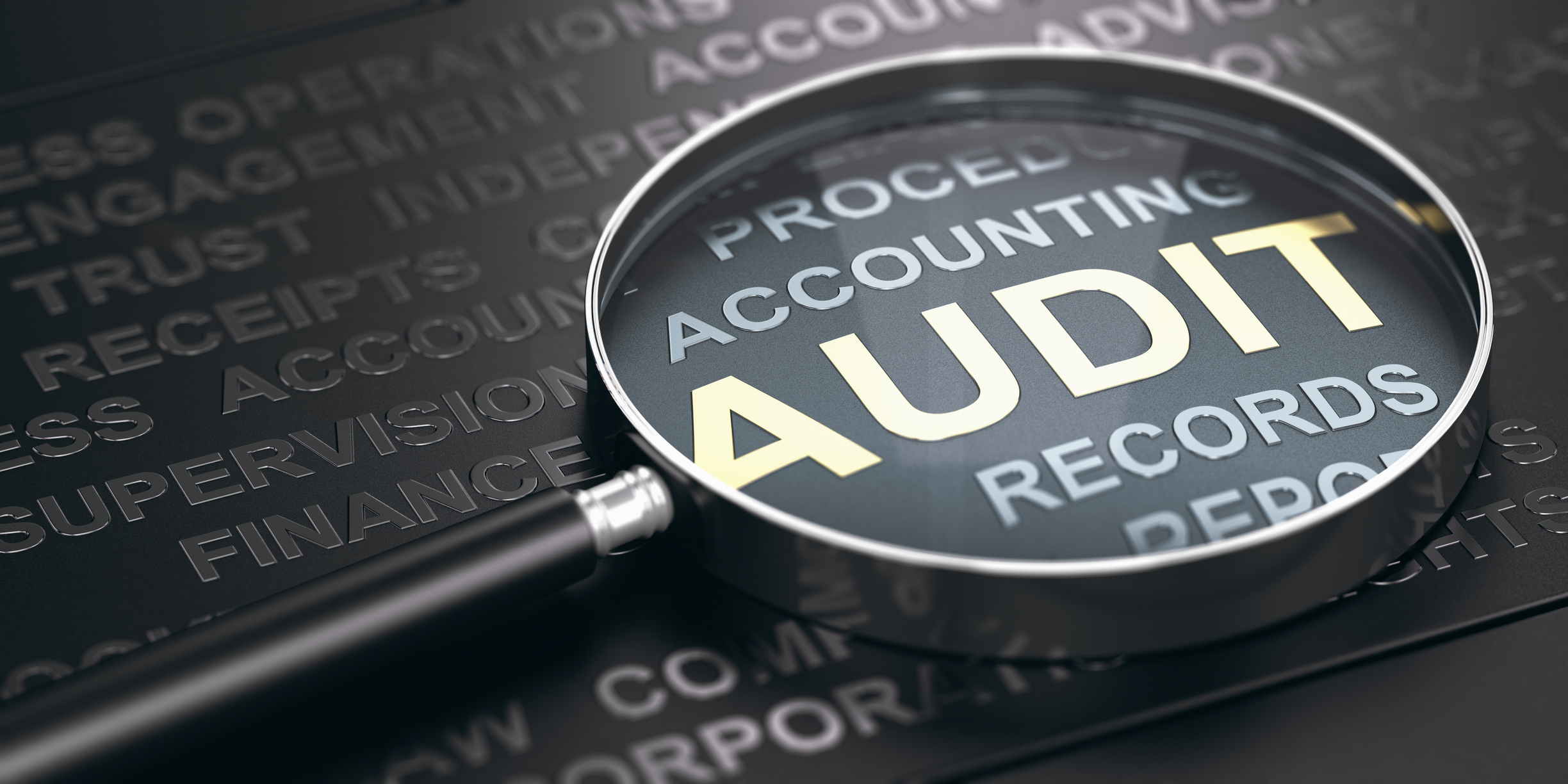 Thumbnail for Wise Giving Wednesday: The Importance of Audited Financial Statements